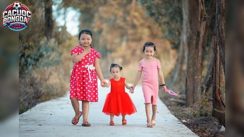 Nhà Cái – Trải Nghiệm Cá Cược Chuyên Nghiệp 2025